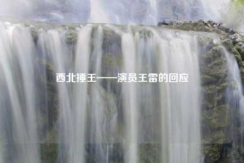 西北捶王——演员王雷的回应