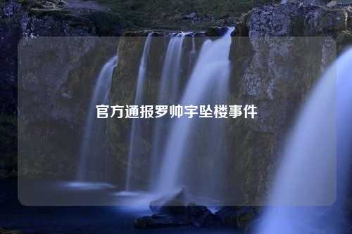 官方通报罗帅宇坠楼事件