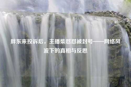 胖东来投诉后，主播柴怼怼被封号——网络风波下的真相与反思