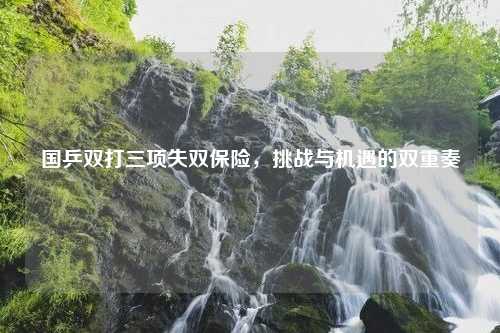 国乒双打三项失双保险，挑战与机遇的双重奏