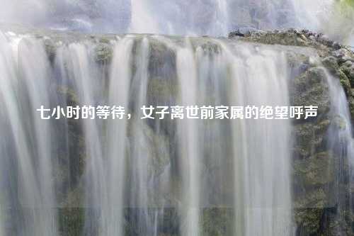 七小时的等待，女子离世前家属的绝望呼声